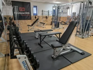 GIMNASIO MONTEQUINTO 1